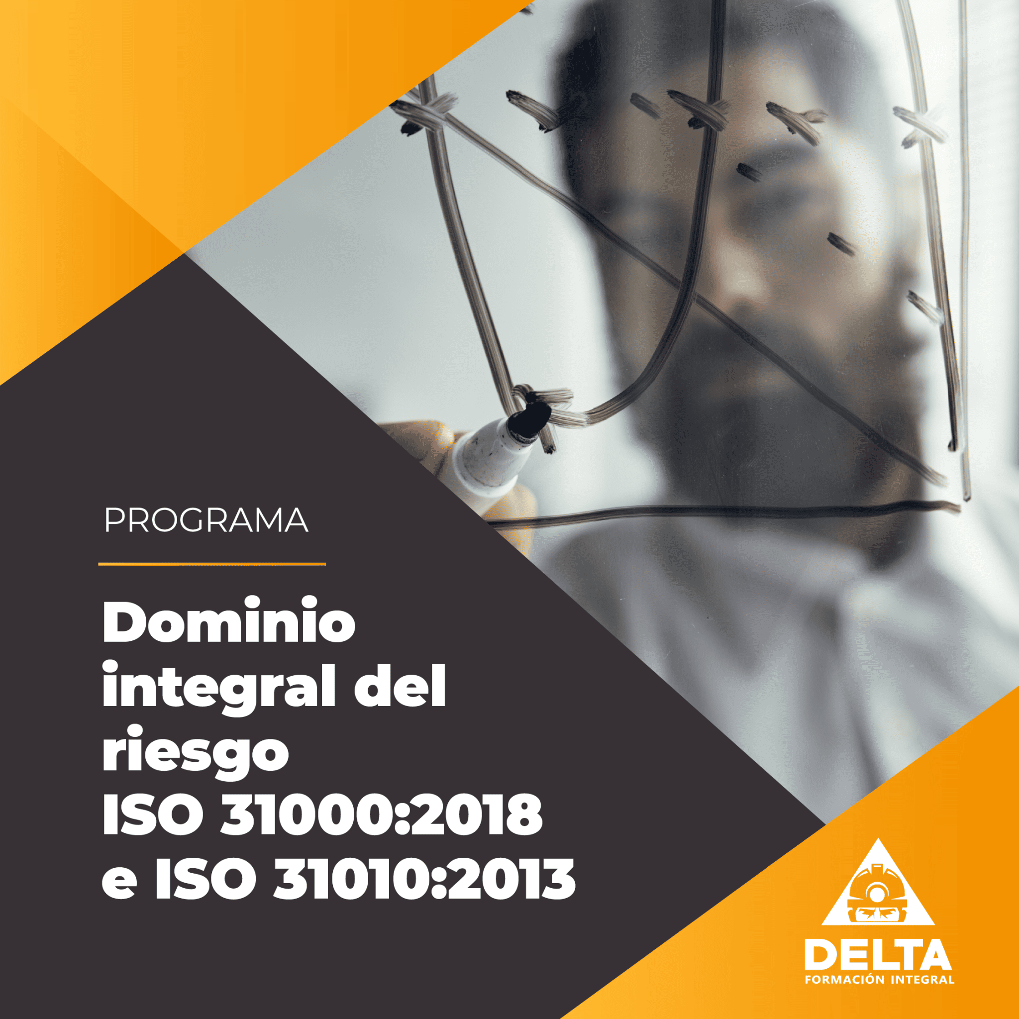 Curso Dominio Integral del Riesgo ISO 31000 e ISO 31010 - Delta Formación Integral